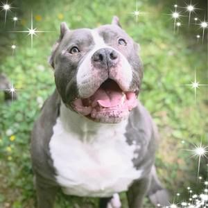 Meet your Posher, Becka